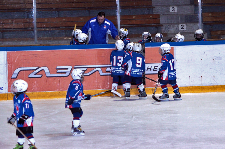 Хоккейные игры торпедо. СДЮШОР Торпедо 2004. Хк Торпедо команда 2007 года рождения. Торпедо (хоккейный клуб, Нижний Новгород).